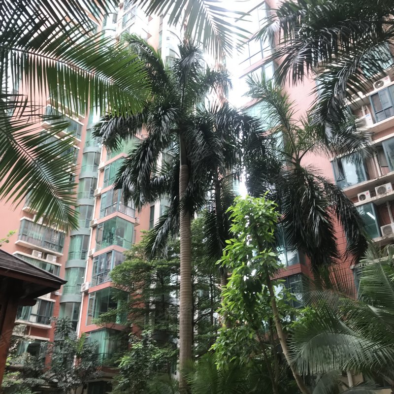 【金湖湾, 金湖湾小区详情,房价走势,房源,业主论坛】- 南宁58同城