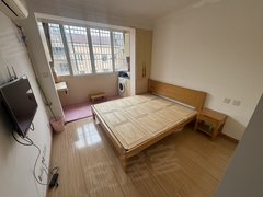 上海杨浦鞍山傍着同济的温馨小窝  通勤党梦中情房   性价比与氛围双在线出租房源真实图片