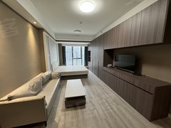 常州金坛尧塘可月租 吾悦旁 金沙科技公寓一室一厅免费停车免费健身房KTV出租房源真实图片