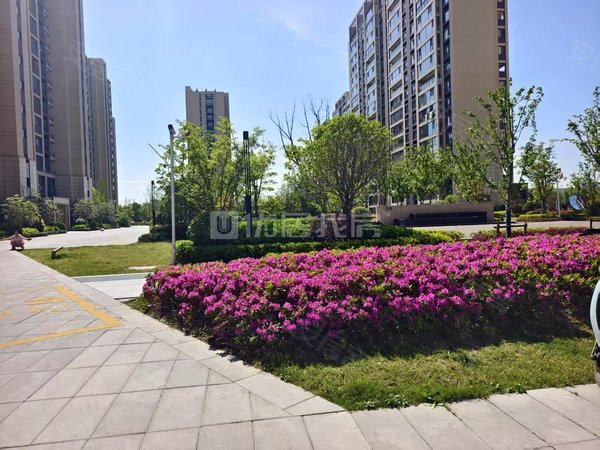 昆山周市镇周市碧桂园星澜雅苑押一付三 碧桂园星澜雅苑 93平 整租 2