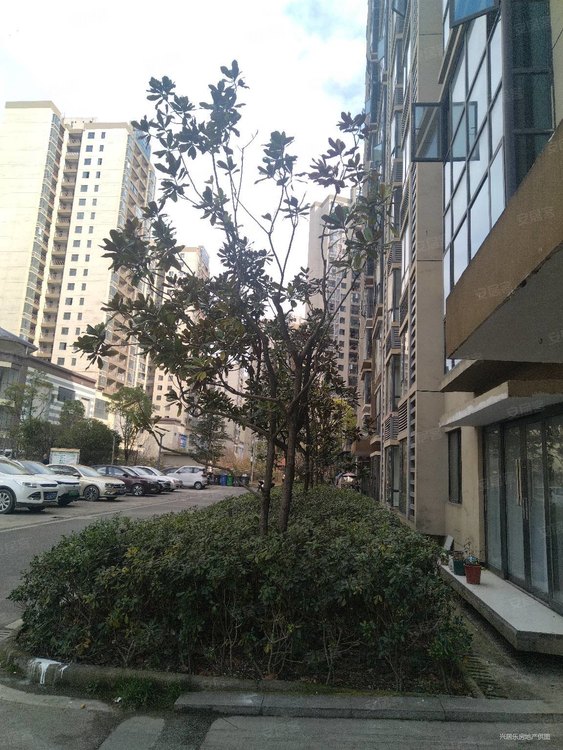 贵阳观山湖区世纪城二铺三室两厅一卫现房急售单价只要三千八每平