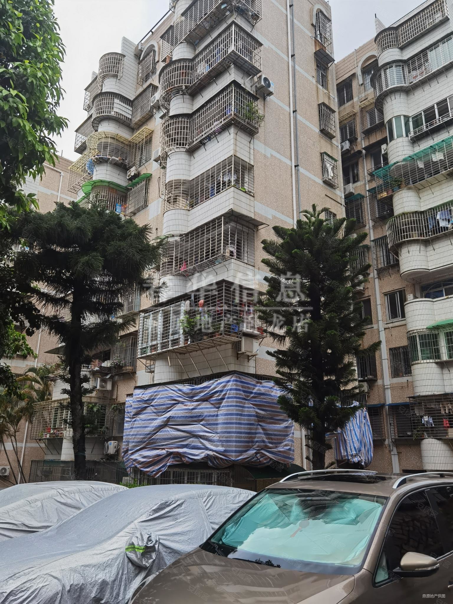 金鸡亭花园小区二手房,435万,3室2厅,1卫,89平米-厦门安居客