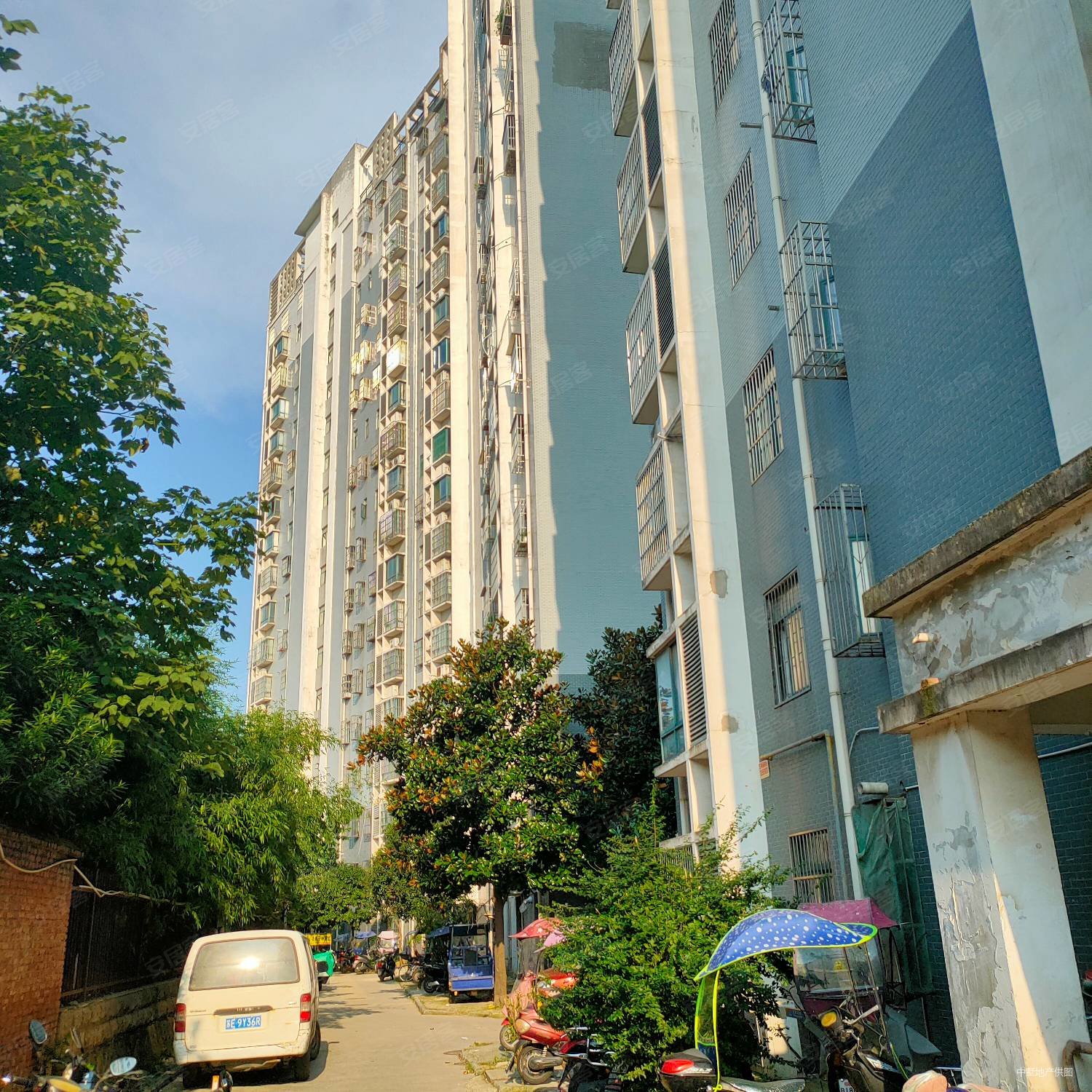 花冲公园旁2室朝南可做3室价格便宜看房方便
