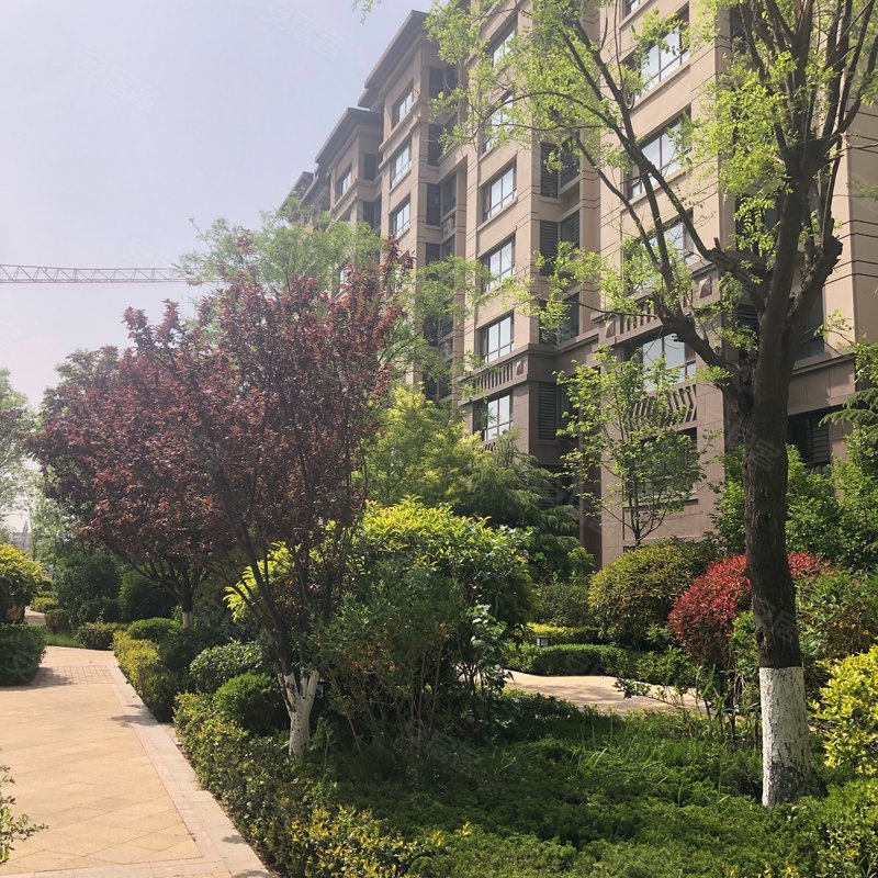 正阳公馆南区专家解读