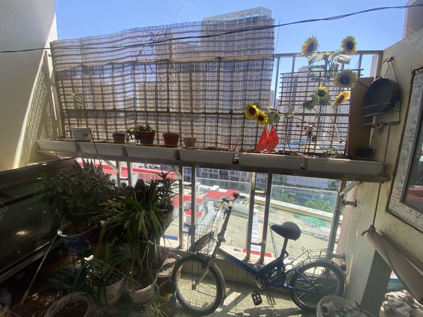 天津南开鼓楼铜锣湾花园铜锣湾花园 2室1厅1卫  电梯房 精装修127平米