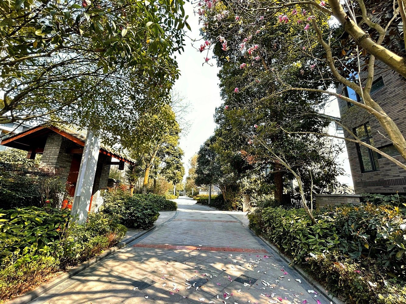 青城白鹭洲别墅