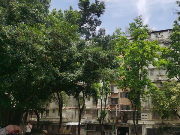 深圳福田园岭园岭新村园岭小学本部带租赁合同三房,楼层4楼看房有钥匙