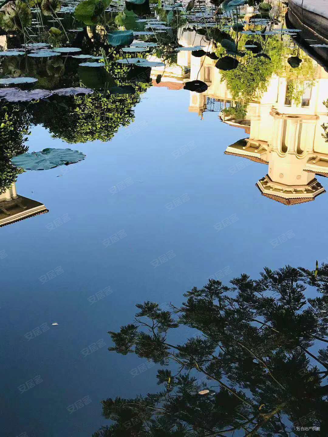 110得汇景御海蓝岸3房2卫朝南高层超d价