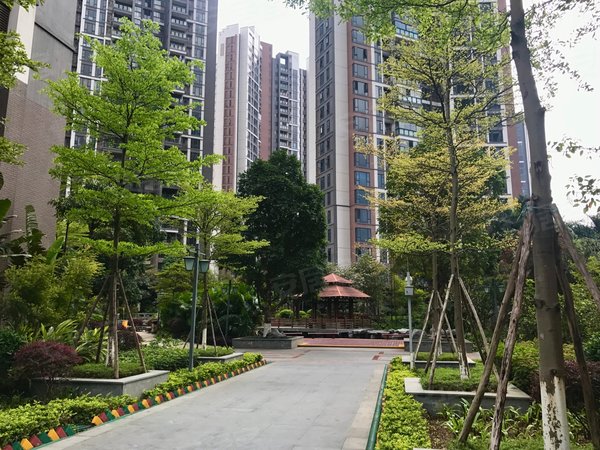 广州增城新塘汇东国际花园汇东国际 三房配置齐全 环境好 生活便利