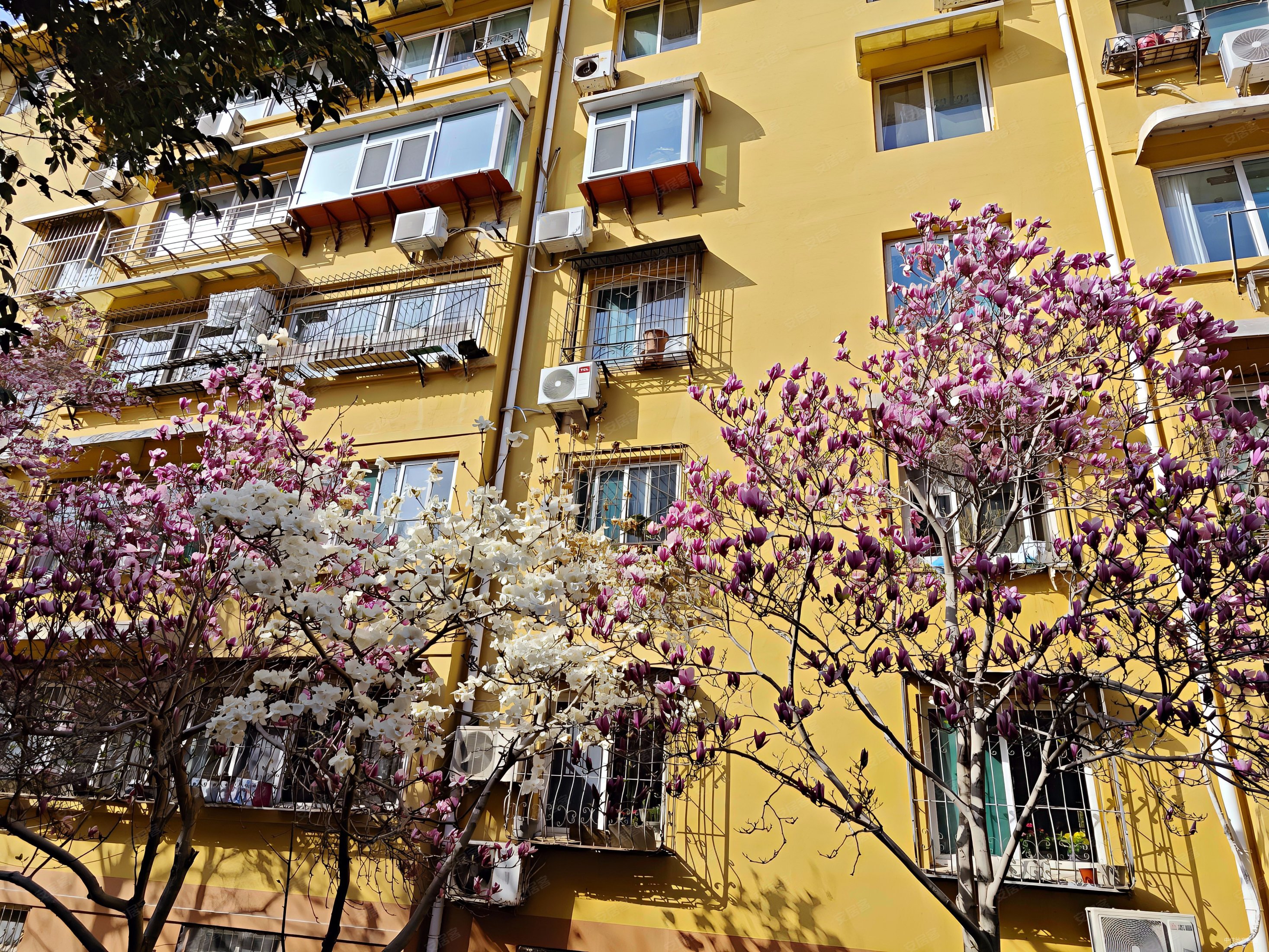 济钢新村东区两室三层