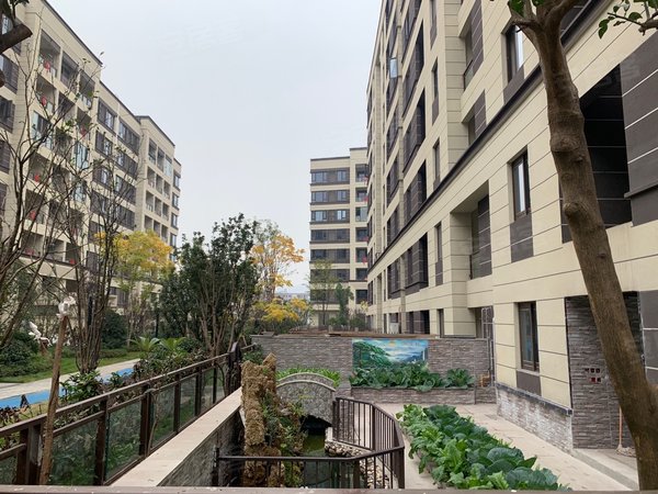 重庆巴南界石御华兰亭(一期)出租御华兰亭洋房小区,精装三房,品牌家电