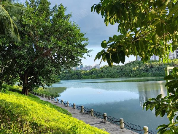 遂宁山屿湖图片