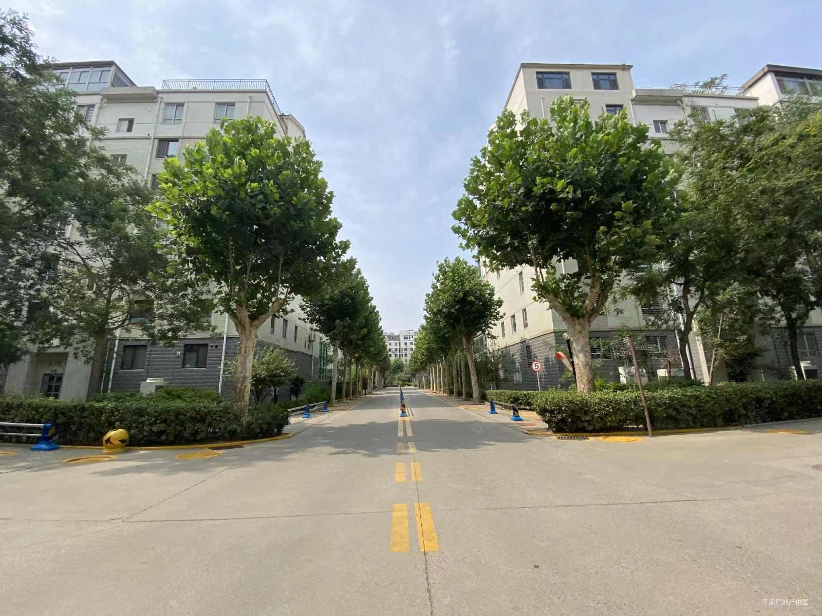 钻石嘉园4室3厅3卫266.26㎡南590万