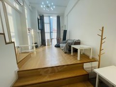 经典复式 一居室 简单且豪华 临近地铁 随时可以看房