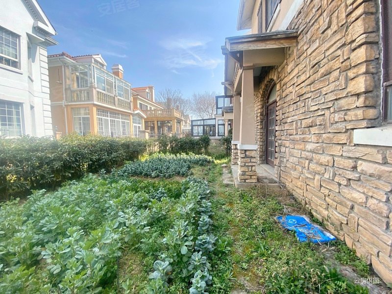 天使湾独栋别墅欧洲城堡大花园大面积房东出国急售真实