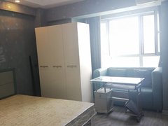 舜天怡宁公寓 1室1厅1卫 精装修 37平 电梯房