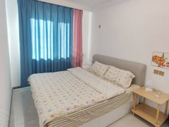鹤岗工农新世纪广场新街基沙厂路 精装南向2居 拎包即住出租房源真实图片
