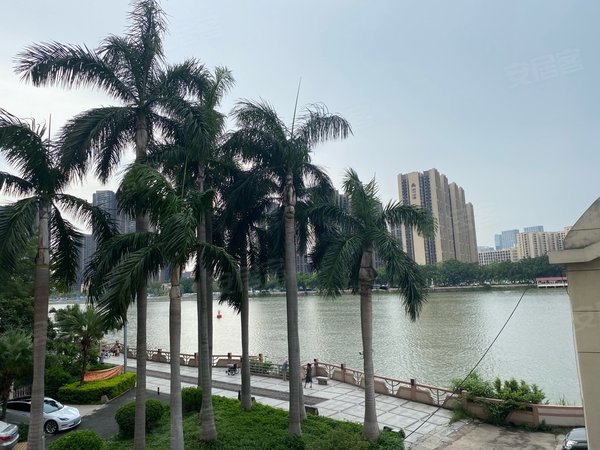 珠江半岛花园 2室1厅1卫 1600元月 70平