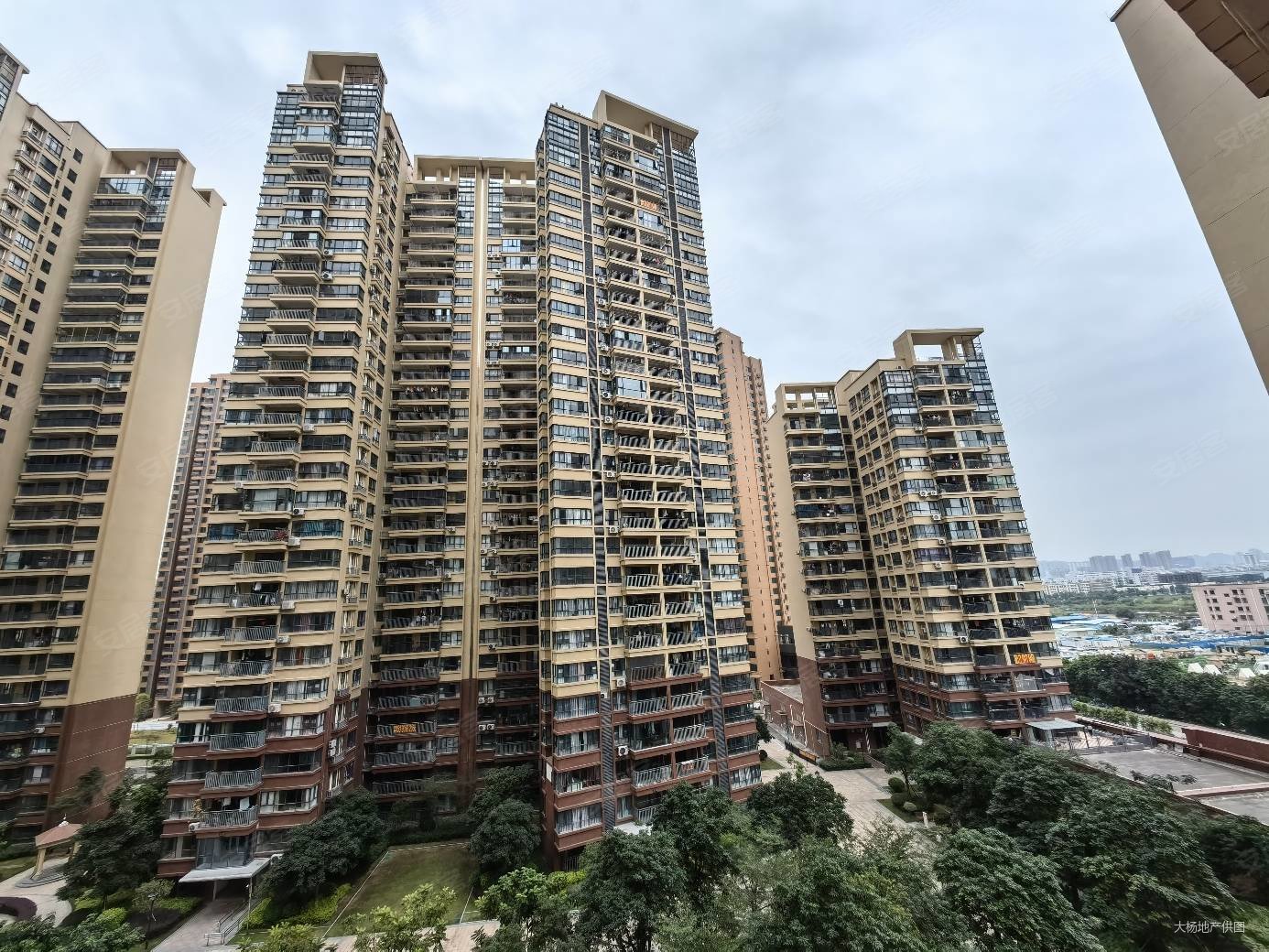 来电有惊喜单价8800起毛坯现楼坦洲十四房旁逸骏星园