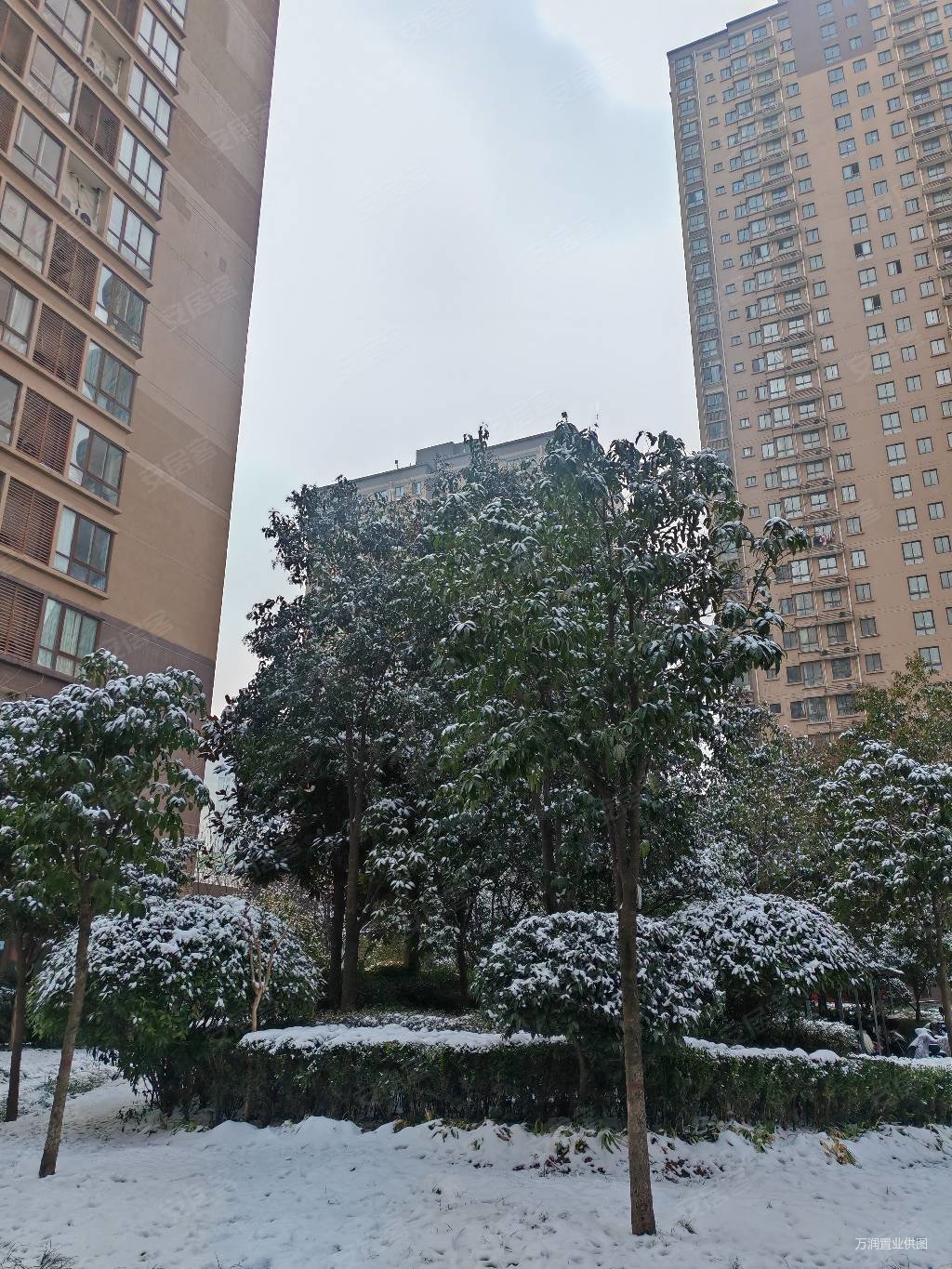 中环国际城北区