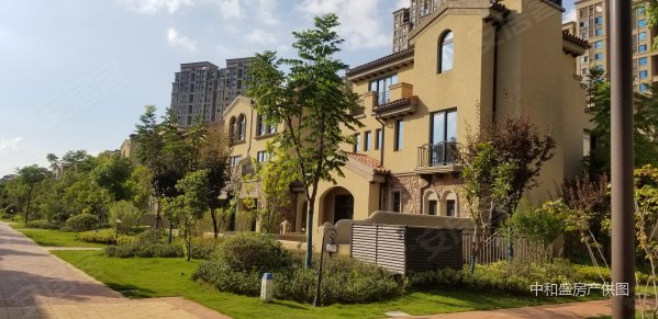 盘龙城,地铁别墅,300平358万,送车库,地下室,珑璟轩