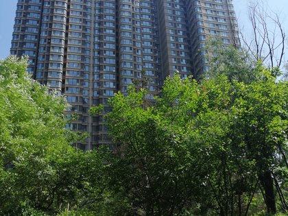 天洋城优点,不足,天洋城怎么样,天洋城周边房产中介经纪人评价-唐山