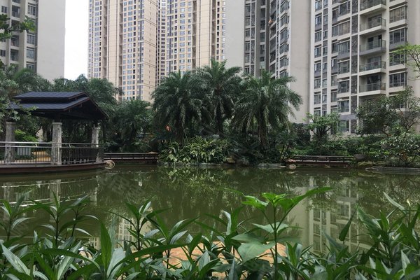 佛山小区 南海小区 平洲小区 富丰新城 富丰新城怎么样