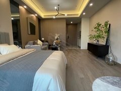 宁德蕉城万达广场万达商圈 大润发单身公寓 现代风 精装修 设备齐全拎包入住出租房源真实图片