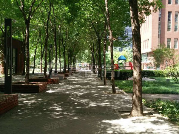 【多图】蓝堡国际公寓,cbd租房,蓝堡国际公寓 1室1厅1卫 精装修 65平