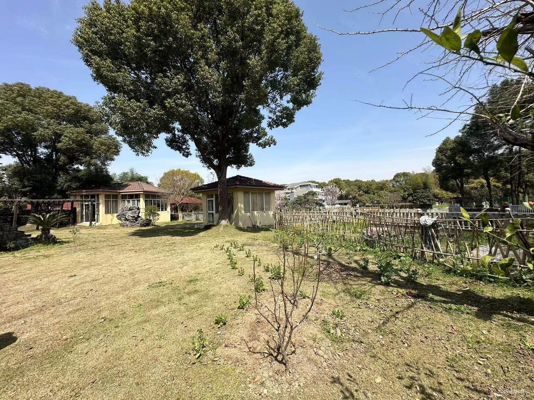 大刀来砍 甄选独栋 花园2000平方 双面临河 户型方正,绿洲比华利花园