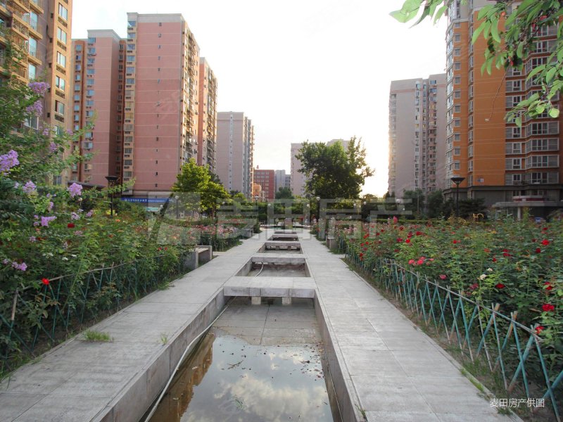 北京房产网>北京二手房>海淀二手房>四季青二手房>曙光花园望山园>