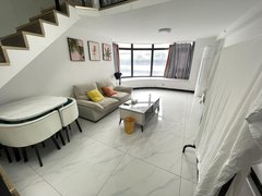 怀化鹤城河西经开区河西 义乌小商品城精装复式1房拎包入住  急租！！！出租房源真实图片