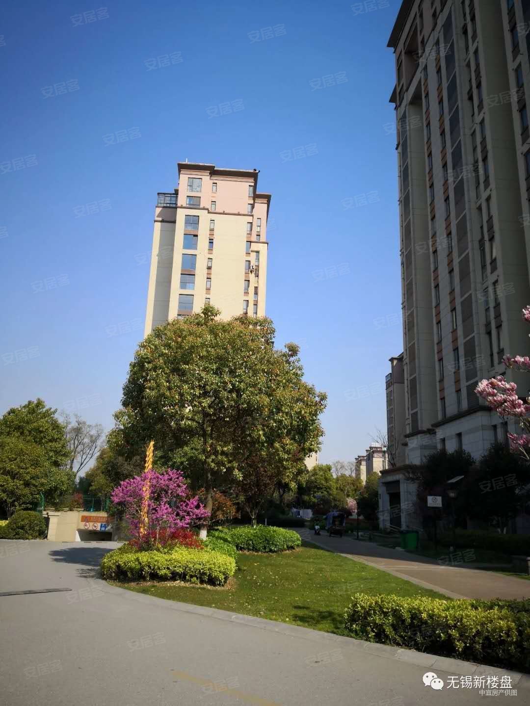 协信阿卡迪亚3室2厅1卫88.86㎡南183万