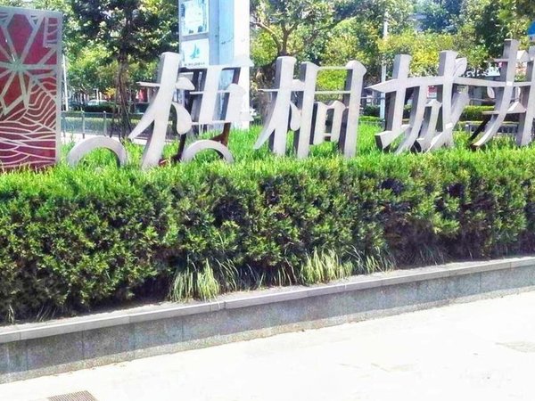 上海宝山大华梧桐城邦(三期别墅)网红,创业者,富豪来看看你们的金屋