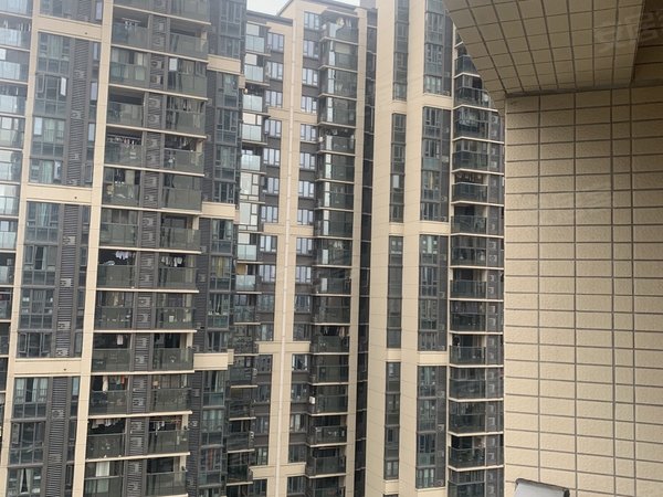 广州荔湾广钢新城保利碧桂园公园大道保利海郡花园 初次出租 采光通透