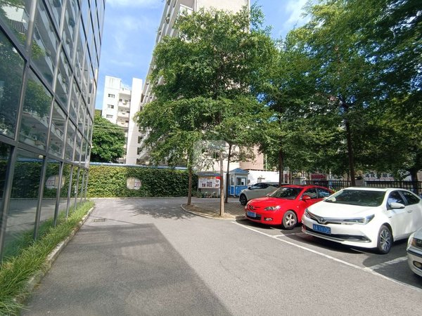 南宁青秀新竹光明大厦光明大厦 2室1厅1卫 电梯房 56平 精装修出租