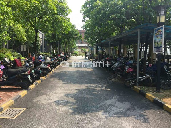 【多图】云星华府,10 1商业大道租房,云星绿城华府 押二付二 普装