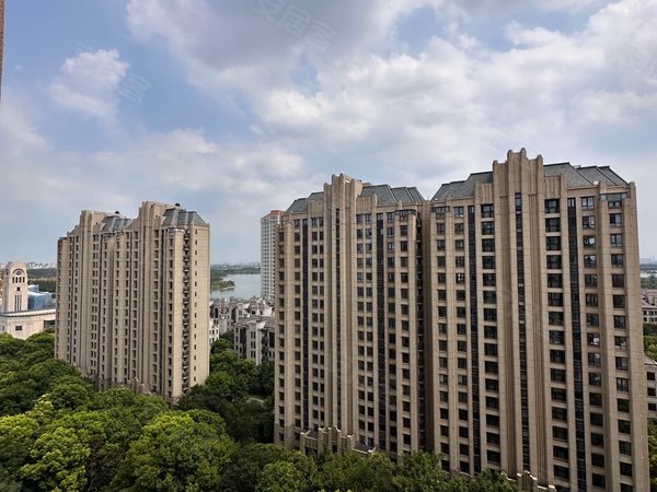 上海闵行吴泾紫竹半岛精装修 电梯高层观景层 业主首租 家庭陪读优选