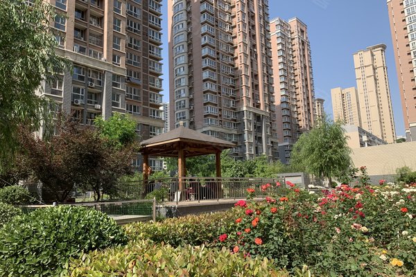 苹果园小区人口_深圳苹果园小区图片(2)