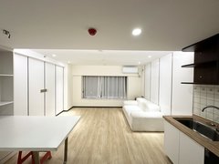 广州天河珠吉家和天曜 复式两房公寓 精装两房 可配齐 拎包入住出租房源真实图片