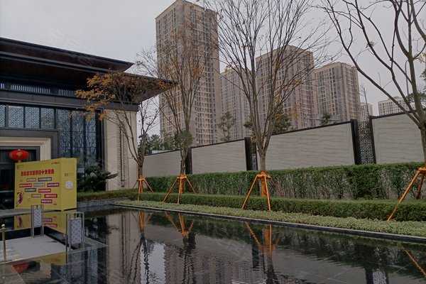 金科联发东悦府