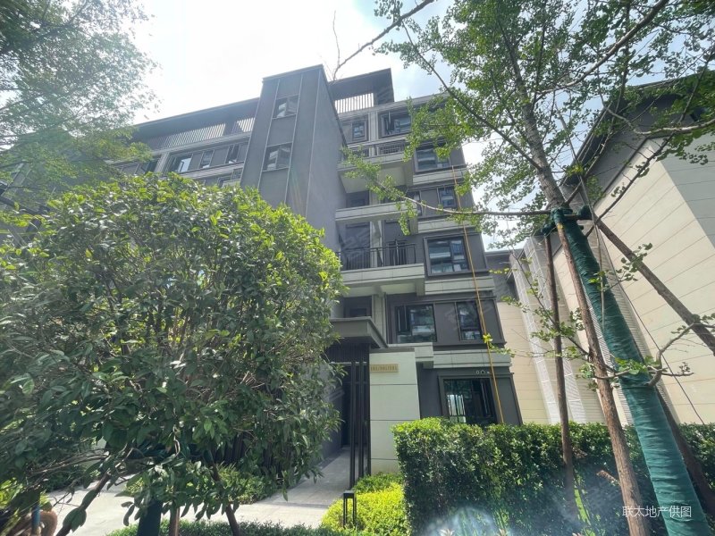 东原麓印长江广电板块叠墅,双地铁,省个税,商业配套成熟!