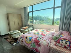 深圳龙岗坂田限时!10号线岗头站 整租精装电梯公寓 免租7天 民水电出租房源真实图片
