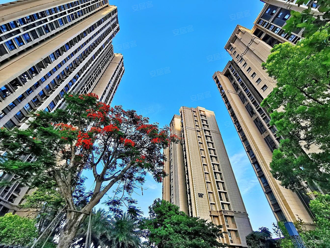 隧道口世茂御海墅精装三房