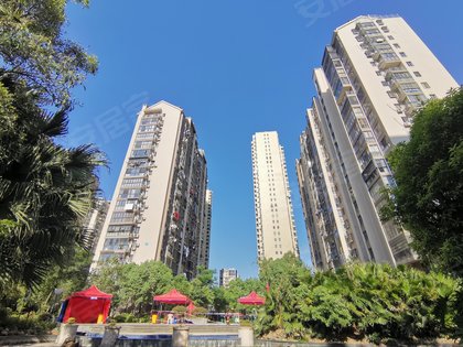 东城国际,福宁北路2号 - 宁德东城国际二手房,租房,房价-宁德安居客