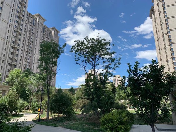 北京朝阳朝阳公园东风苑小区(南区)东四环 石佛营 地铁三号线 东风苑