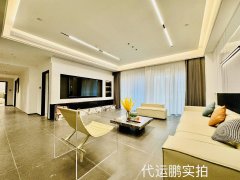 中洲总裁公寓 稀有户型大平层 全新豪装 随时看房
