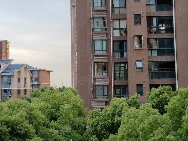 上海普陀桃浦阳光水岸苑(公寓住宅)急租,无中介费11号线桃浦新村朝南