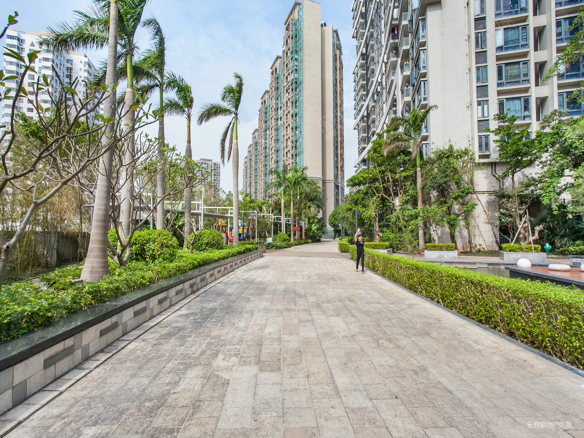 百仕达乐湖电梯房精装可拎包入住高楼层采光充足交通便利