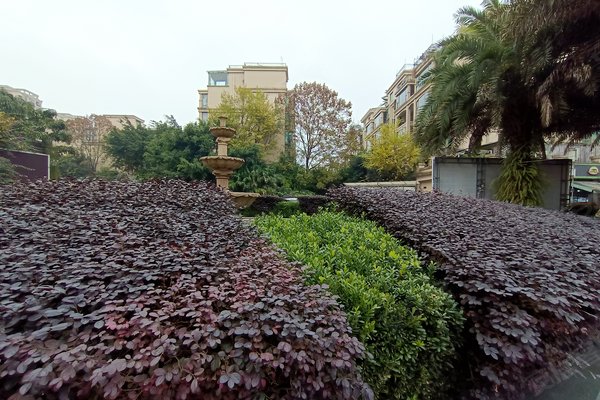 乐山小区 峨眉山小区 峨眉山周边小区 滨湖国际